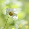 蜘蛛侠
